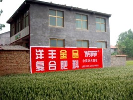 鹰潭如何让墙体广告展现最大化效果